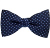 Papillon e Fazzoletto in Seta Blu a Pois Celesti