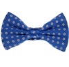 Papillon e Fazzoletto in Seta Blu Margherite