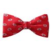 Papillon e Fazzoletto in Seta Rosso Paisley Bianco e Blu