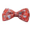 Papillon e Fazzoletto in Seta color Mattone con Motivo Paisley