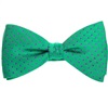 Papillon e Fazzoletto in Seta Verde a Pois Viola