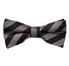 Papillon Righe Nere e Grigie
