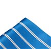 Fazzoletto da Taschino Blu a Righe Bianche